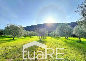 Foto 10 - Terreno edificabile via di valle caprara, Castel Madama - foto 10