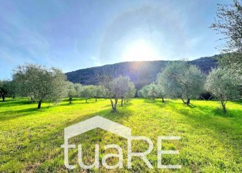 Foto 11 - Terreno edificabile via di valle caprara, Castel Madama - foto 11