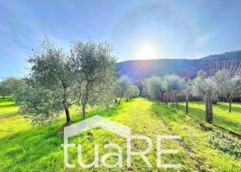 Foto 12 - Terreno edificabile via di valle caprara, Castel Madama - foto 12