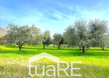 Foto 17 - Terreno edificabile via di valle caprara, Castel Madama - foto 17