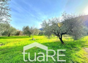 Foto 20 - Terreno edificabile via di valle caprara, Castel Madama - foto 20