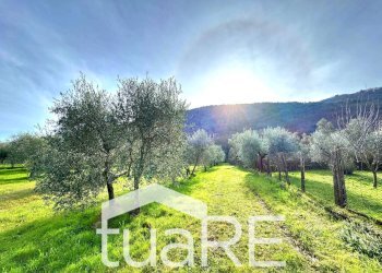 Foto 15 - Villa via di valle caprara, Castel Madama - foto 15