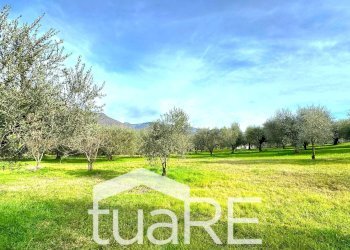 Foto 16 - Villa via di valle caprara, Castel Madama - foto 16