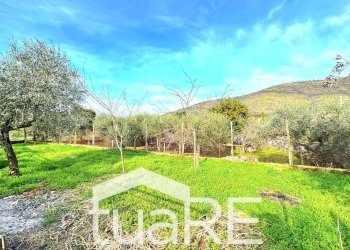 Foto 25 - Villa via di valle caprara, Castel Madama - foto 25