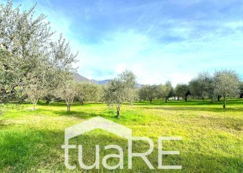 Foto 40 - Villa via di valle caprara, Castel Madama - foto 40