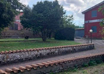 Foto 23 - Villa via Gran Sasso, Palestrina - photo 23