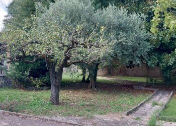 Foto 25 - Villa via Gran Sasso, Palestrina - photo 25