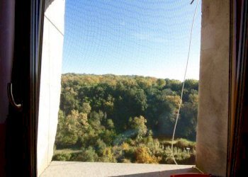 Foto 9 - Appartamento VIA GIORGINA, Blera - foto 9