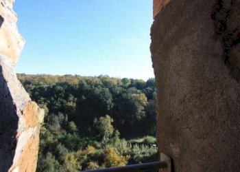 Foto 13 - Appartamento VIA GIORGINA, Blera - foto 13