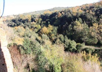 Foto 23 - Appartamento VIA GIORGINA, Blera - foto 23