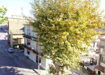 Foto 19 - Appartamento via della pietà, Vetralla - foto 19