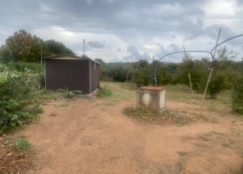 Foto 2 - Terreno agricolo Villa San Giovanni in Tuscia - foto 2