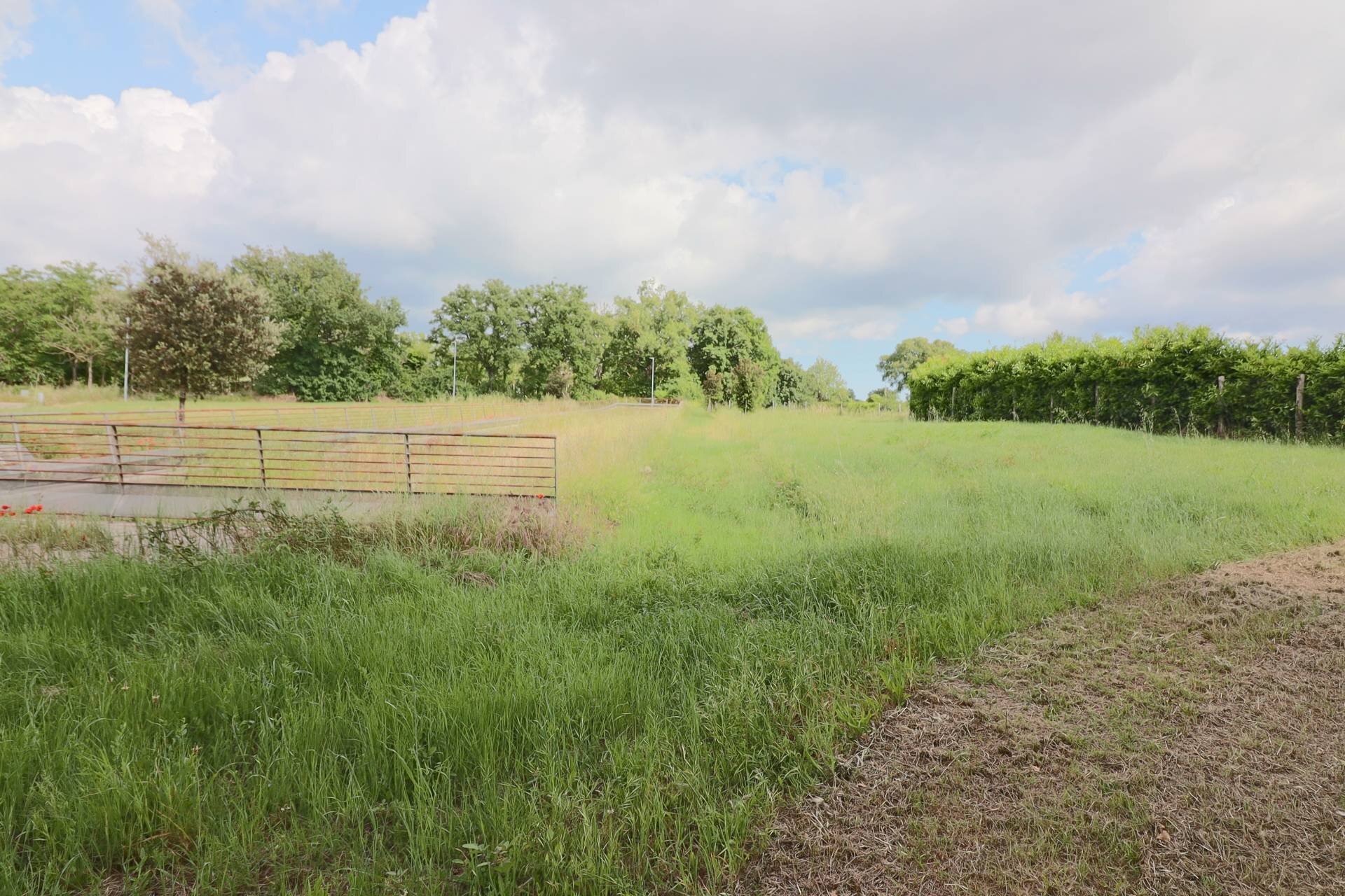 Foto 2 - Terreno edificabile Via Campo Giordano, Vetralla - foto 2
