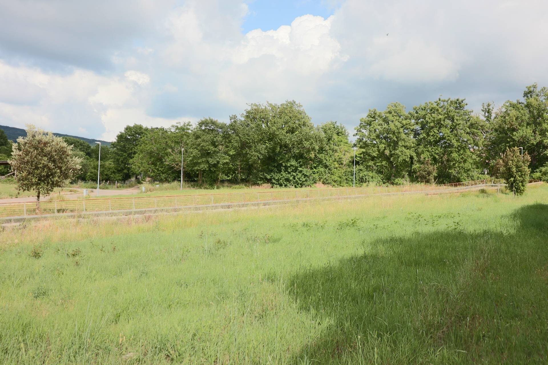 Foto 3 - Terreno edificabile Via Campo Giordano, Vetralla - foto 3