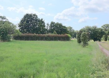 Foto 5 - Terreno edificabile Via Campo Giordano, Vetralla - foto 5