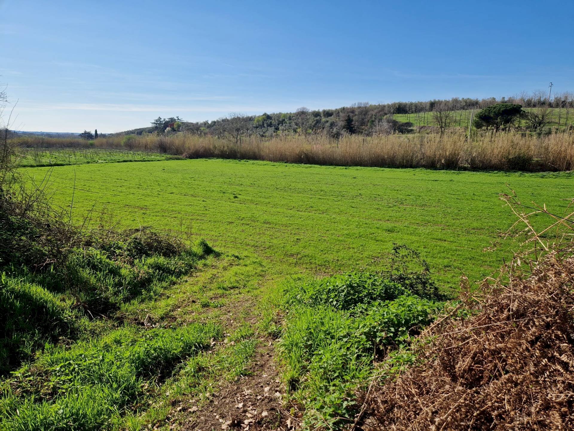 Foto 2 - Agricultural land località Ave Maria, Vetralla - photo 2