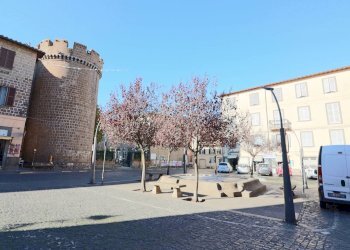 Foto 10 - Apartment Vicolo De Grandis, Vetralla - photo 10