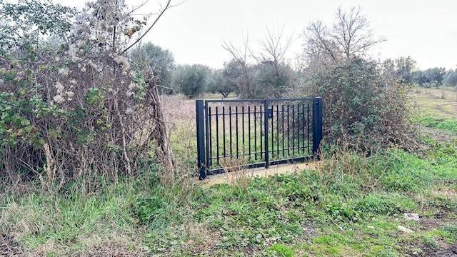 Foto 1 - Terreno agricolo strada foro cassio, Vetralla - foto 1