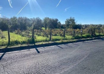 Foto 2 - Terreno agricolo strada foro cassio, Vetralla - foto 2