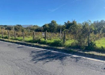 Foto 3 - Terreno agricolo strada foro cassio, Vetralla - foto 3