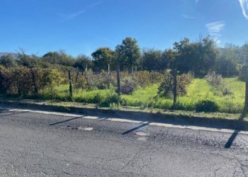 Foto 4 - Terreno agricolo strada foro cassio, Vetralla - foto 4