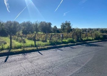 Foto 5 - Terreno agricolo strada foro cassio, Vetralla - foto 5