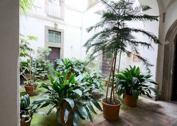 Foto 7 - Appartamento via cassia interna, Vetralla - foto 7