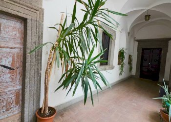 Foto 10 - Appartamento via cassia interna, Vetralla - foto 10