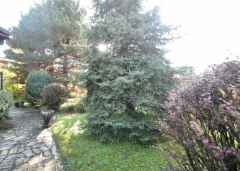 Foto 3 - Villa Via Valcamonica
 
32, Vimercate - photo 3