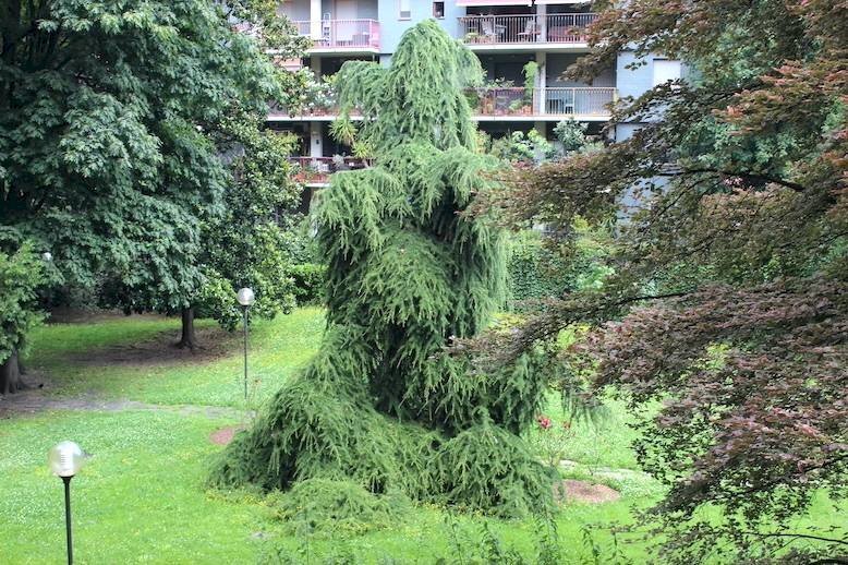 Foto 1 - Quadrilocale Via Caracciolo
 
68, Milano - foto 1