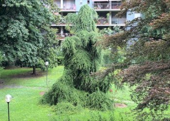 Foto 1 - Quadrilocale Via Caracciolo
 
68, Milano - foto 1