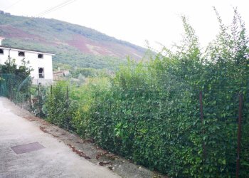 Foto 3 - Terreno edificabile Sant'Agata dé Goti - località Bagnoli, Sant'Agata De' Goti - foto 3