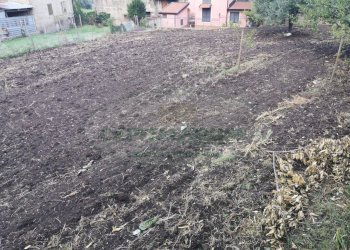 Foto 4 - Terreno edificabile Sant'Agata dé Goti - località Bagnoli, Sant'Agata De' Goti - foto 4