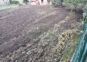 Foto 11 - Terreno edificabile Sant'Agata dé Goti - località Bagnoli, Sant'Agata De' Goti - foto 11