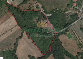 Foto 16 - Casa indipendente Rocca D'Evandro - foto 16