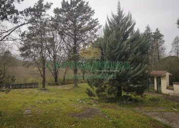 Foto 20 - Casa indipendente Rocca D'Evandro - foto 19