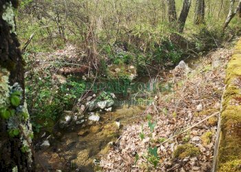 Foto 42 - Casa indipendente Rocca D'Evandro - foto 41