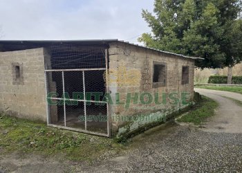 Foto 15 - Casa semi indipendente Contrada Molino Corte, Sant'Agata De' Goti - foto 15