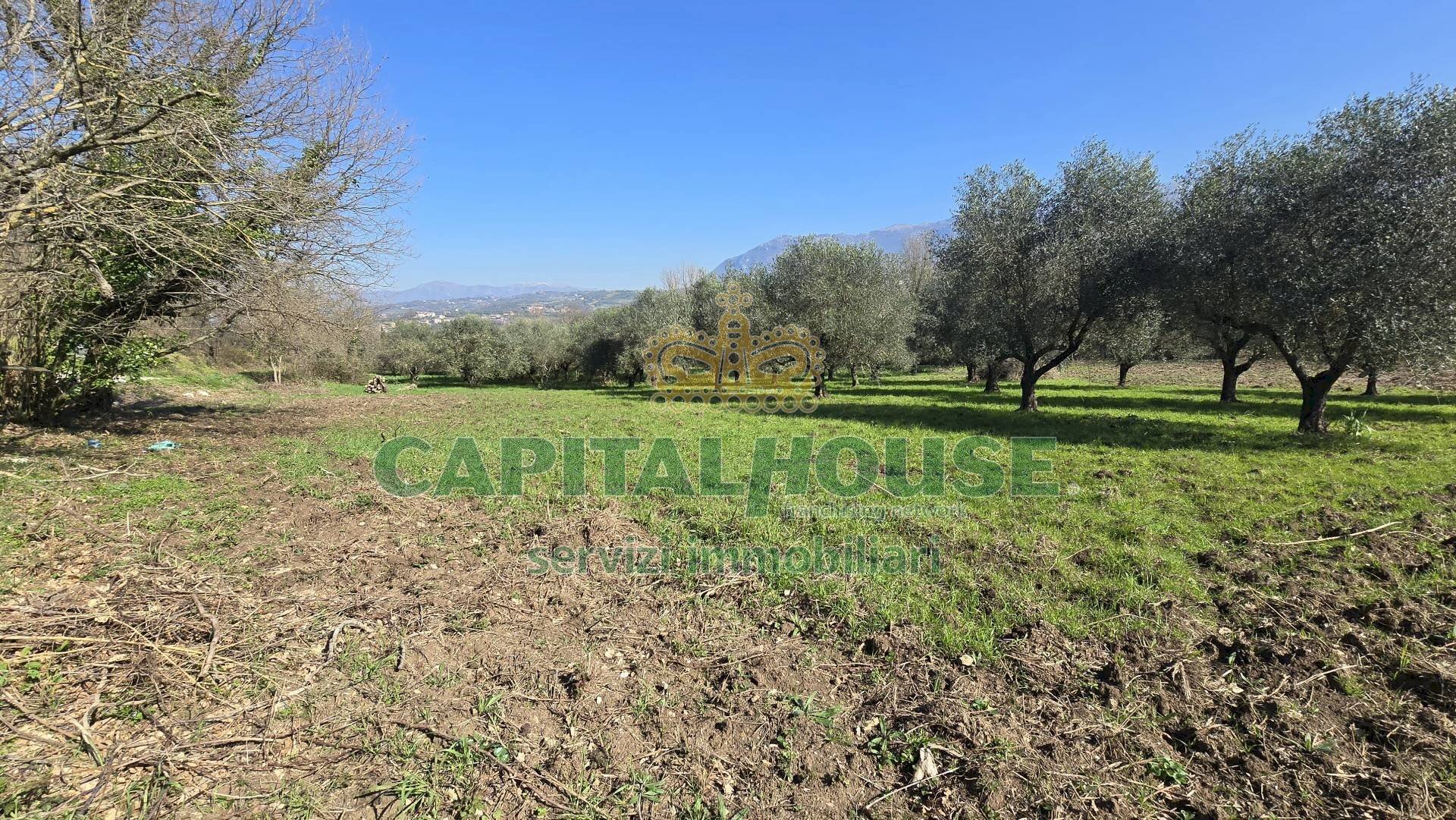 Foto 2 - Agricultural land Via Contrada Migliara, Sant'Agata De' Goti - photo 2