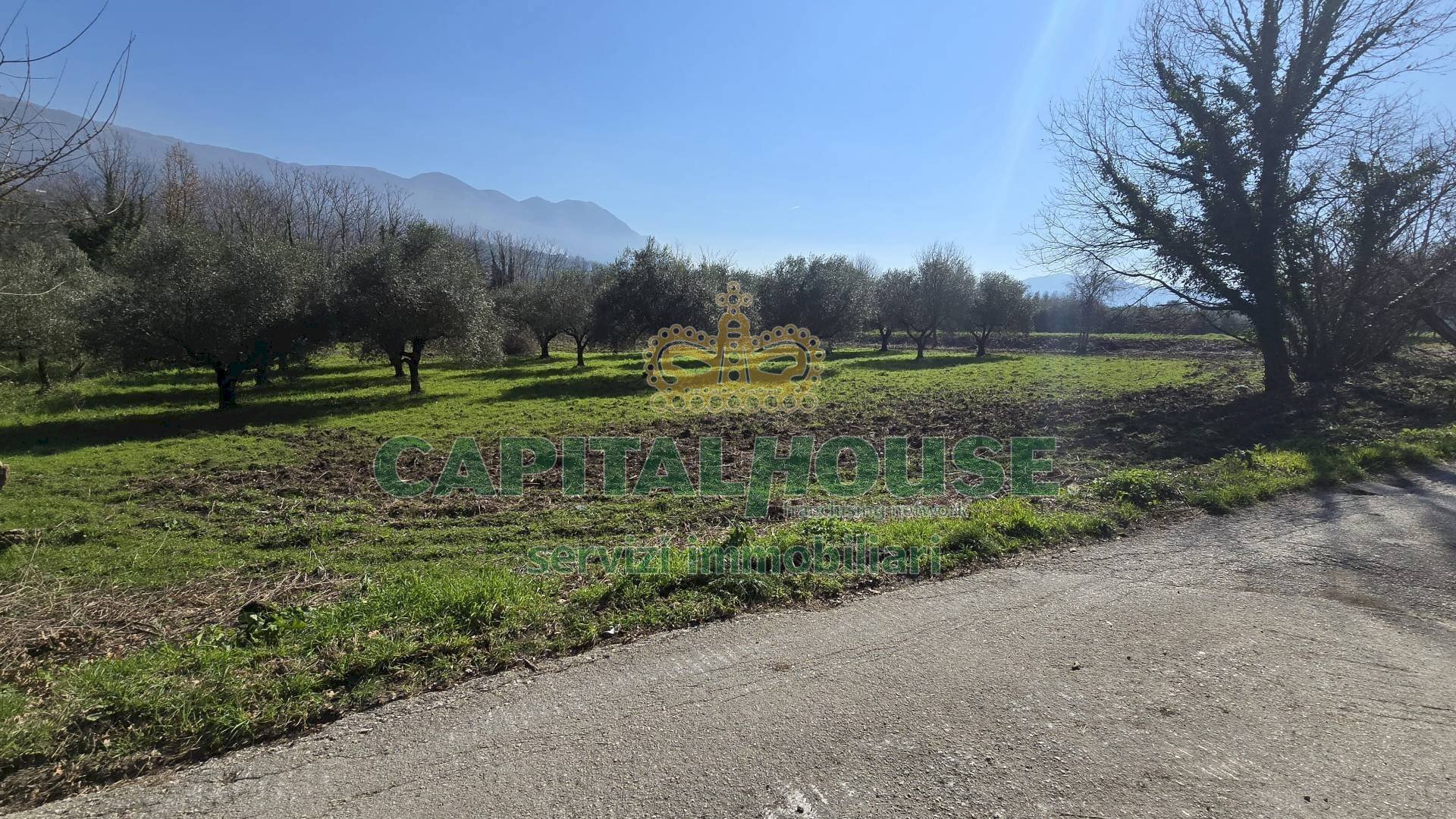 Foto 3 - Agricultural land Via Contrada Migliara, Sant'Agata De' Goti - photo 3