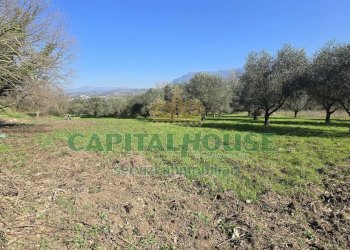 Foto 2 - Terreno agricolo Via Contrada Migliara, Sant'Agata De' Goti - foto 2