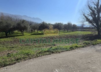 Foto 3 - Terreno agricolo Via Contrada Migliara, Sant'Agata De' Goti - foto 3