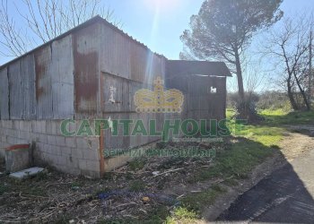 Foto 5 - Terreno agricolo Via Contrada Migliara, Sant'Agata De' Goti - foto 5