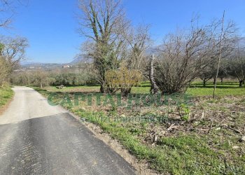 Foto 6 - Terreno agricolo Via Contrada Migliara, Sant'Agata De' Goti - foto 6