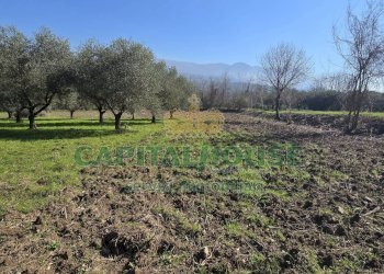 Foto 9 - Terreno agricolo Via Contrada Migliara, Sant'Agata De' Goti - foto 9