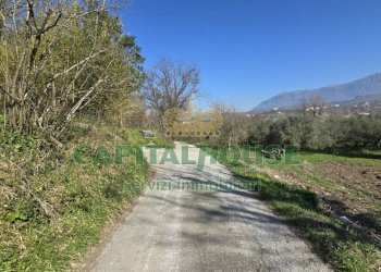 Foto 10 - Terreno agricolo Via Contrada Migliara, Sant'Agata De' Goti - foto 10