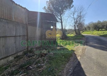 Foto 12 - Terreno agricolo Via Contrada Migliara, Sant'Agata De' Goti - foto 12