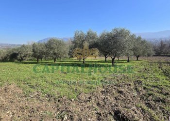 Foto 13 - Terreno agricolo Via Contrada Migliara, Sant'Agata De' Goti - foto 13