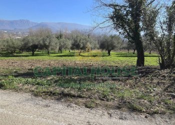 Foto 14 - Terreno agricolo Via Contrada Migliara, Sant'Agata De' Goti - foto 14