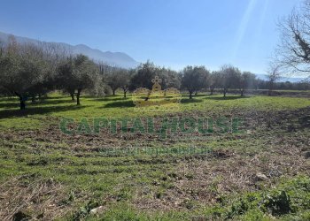 Foto 15 - Terreno agricolo Via Contrada Migliara, Sant'Agata De' Goti - foto 15